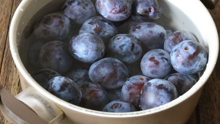 Рецепт кетчупа из слив на зиму