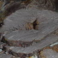 Рецепт Маринада для говядины