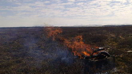 Рецепт маринада лукового
