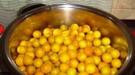 Рецепт соуса из алычи