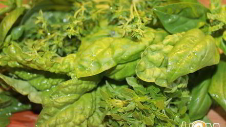 Рецепт чесночно-базиликового песто