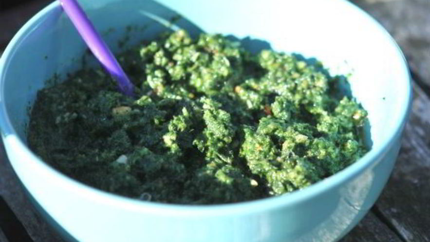 Рецепт крапивного песто