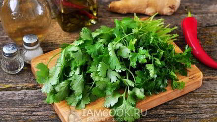 Рецепт песто из кинзы