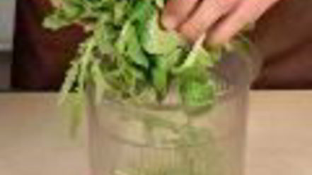 Рецепт песто из корн-салата и руколы