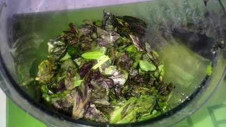 Рецепт рисового песто