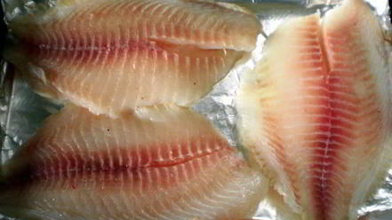 Рецепт рыбы запеченной с соусом песто