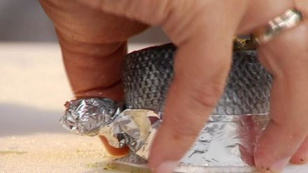 Рецепт сибаса, запеченного с соусом песто