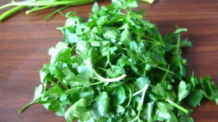 Рецепт соуса песто из петрушки