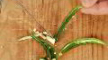 Рецепт дипов для чипсов