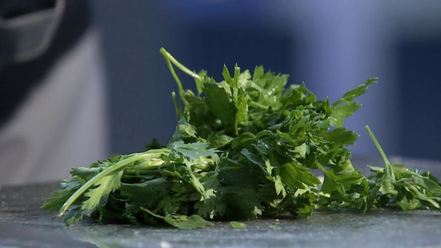 Рецепт острой зеленой сальсы