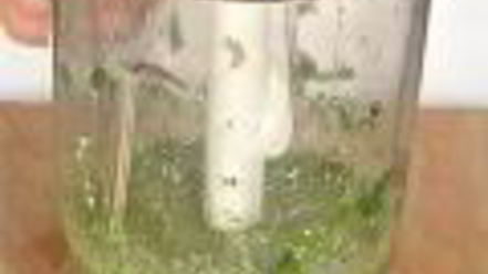 Рецепт соусов сальса круда, сальса роха, сальса верде