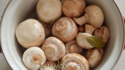 Рецепт сациви с грибами