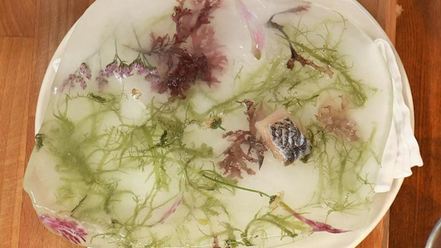 Рецепт строганины, тартар и солонина из омуля на льду