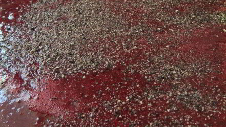 Рецепт грузинского соуса ткемали