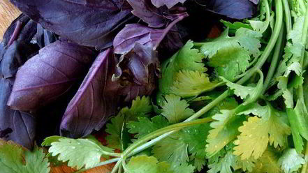 Рецепт соуса из слив ткемали к мясу