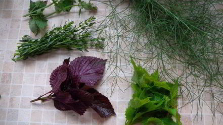 Рецепт соуса сливового ткемали