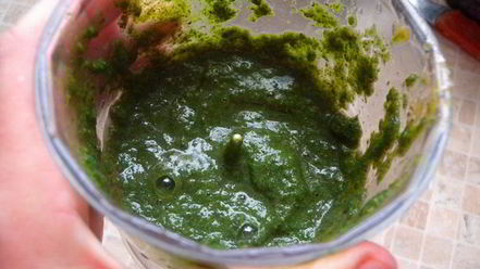 Рецепт соуса сливового ткемали