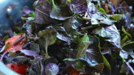 Рецепт соуса ткемали классический