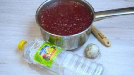 Рецепт соуса ткемали с синей сливой