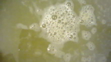 Рецепт соуса зеленого ткемали