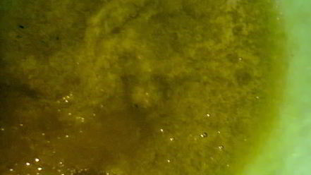 Рецепт соуса зеленого ткемали