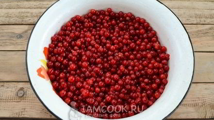 Рецепт ткемали из красной смородины