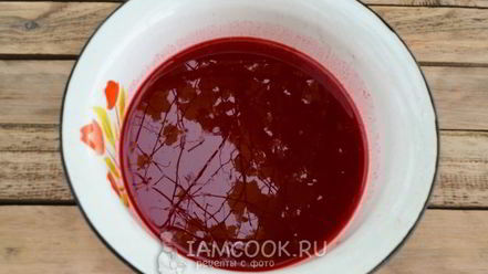 Рецепт ткемали из красной смородины