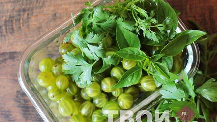 Рецепт ткемали из крыжовника