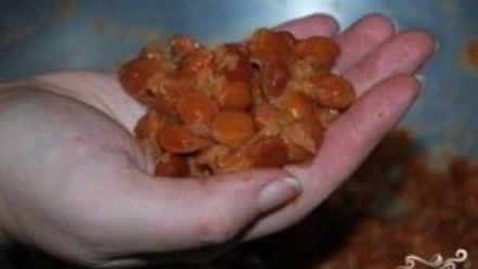 Рецепт ткемали из слив на зиму