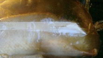 Рецепт утки в соусе ткемали с медом