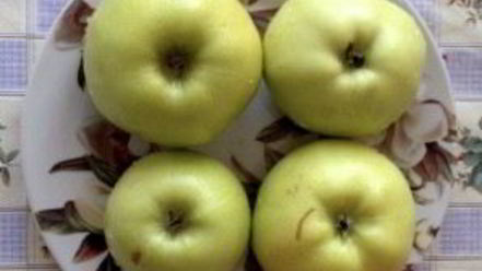 Рецепт утки в соусе ткемали с медом