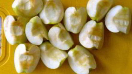 Рецепт утки в соусе ткемали с медом