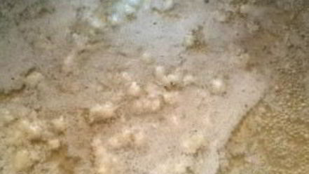 Рецепт сырного соуса из плавленого сыра