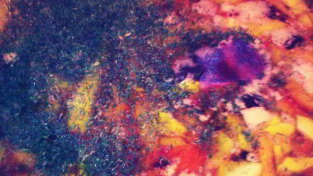 Рецепт борща капустного