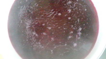 Рецепт борща красного холодного