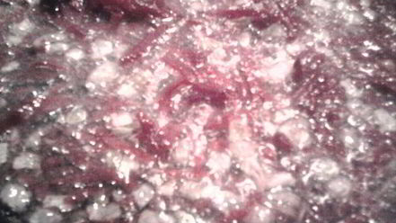 Рецепт борща в горшочках