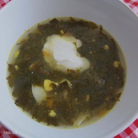 Рецепт Борща зеленого