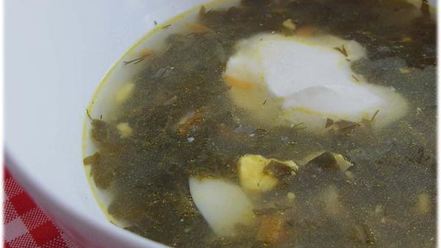 Рецепт борща зеленого