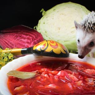 Рецепт Борща