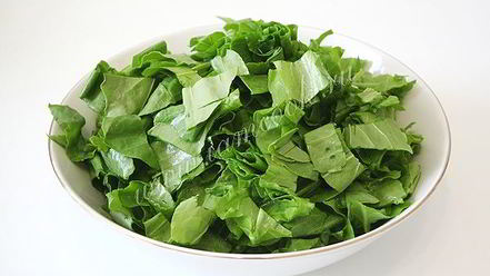 Рецепт холодного зеленого борща с огурцами