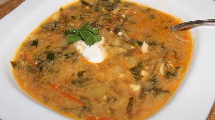 Рецепт украинского борща со щавелем