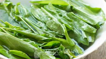 Рецепт зеленого борща без мяса