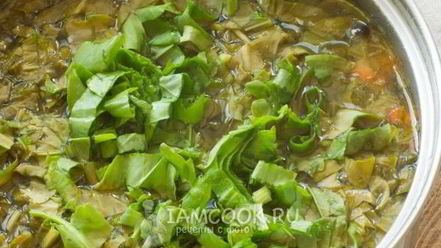 Рецепт зеленого борща без мяса