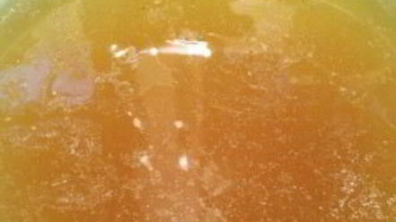 Рецепт бульона из куриных лапок