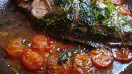 Рецепт дорады в сумасшедшем бульоне