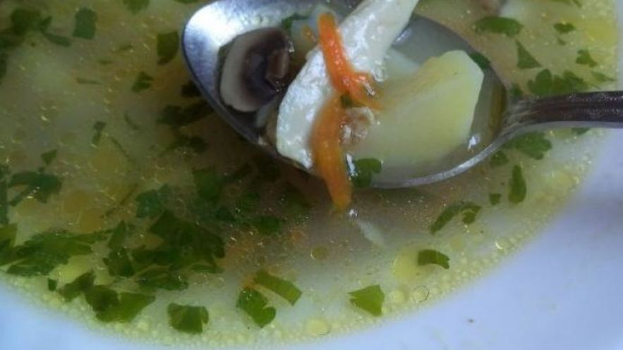 Рецепт грибного супа на курином бульоне