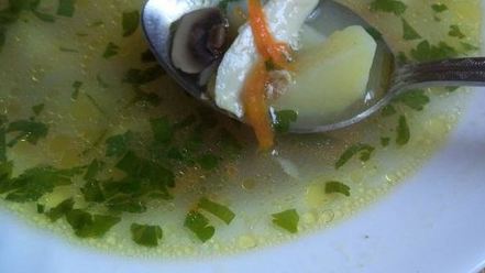 Рецепт грибного супа на курином бульоне