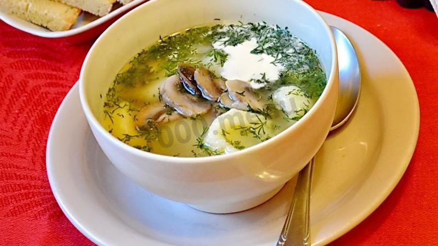 Рецепт грибного супа на мясном бульоне