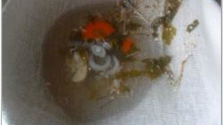 Рецепт рыбного бульона