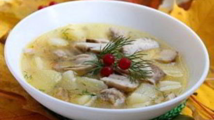 Рецепт супа из белых грибов на мясном бульоне